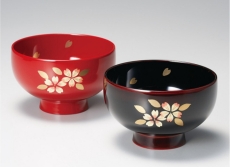 naire-isuke-G12-04001