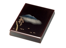 naire-isuke-G10-13303