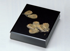 naire-isuke-G7-12501