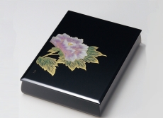naire-isuke-G10-13304