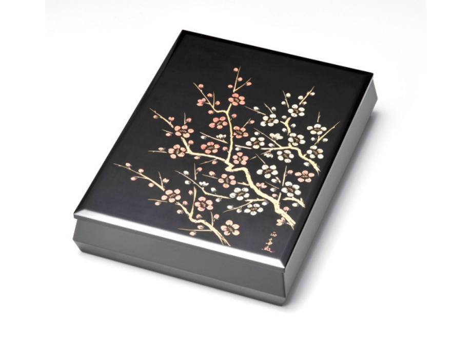 naire-isuke-G10-13205