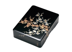 naire-isuke-G10-13005