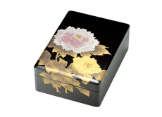 naire-isuke-G10-13003