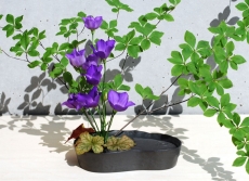 naire-gingado-00030