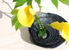 naire-gingado-00031