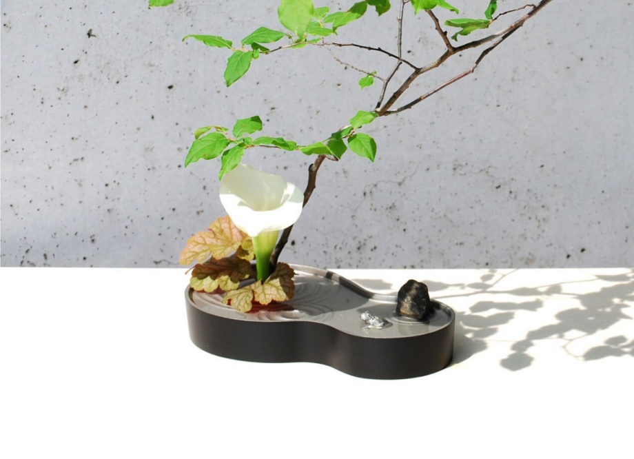 naire-gingado-00032