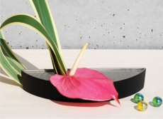 naire-gingado-00033