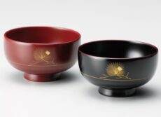 naire-isuke-G10-03902